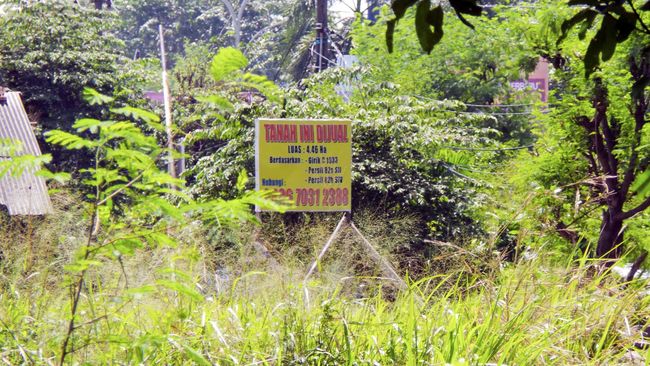 Bareskrim Periksa BPN Terkait Dugaan Korupsi Lahan Cengkareng Penyidik Polri telah memeriksa saksi Gubernur Basuki Tjahaja Purnama alias Ahok dan wakilnya Djarot Saiful Hidayat dalam dugaan korupsi