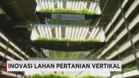 Pengembangan Lahan Pertanian Vertikal