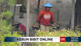 Bekebun Sayur dan Tanaman Hias via Online