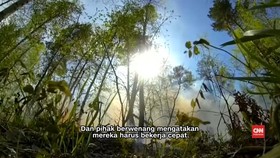 Petugas Sulit Padamkan Kebakaran Cagar Alam Rusia