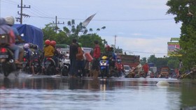 Banjir di Pasuruan, Warga Mengungsi