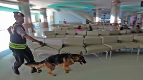 Anjing Pelacak Diterjunkan Buru Pelaku Pembunuhan Pondok Labu