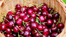 7 Buah yang Cocok Dikonsumsi untuk Redakan Batuk Pilek