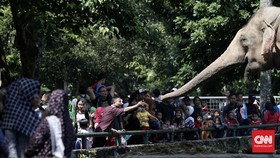 TripAdvisor Tak Lagi Jual Tiket Atraksi Wisata Hewan