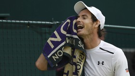 Murray Kemungkinan Absen di Perempat Final Davis