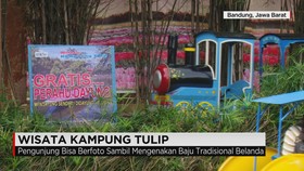 Wisata Kampung Tulip Bandung