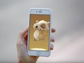 Indonesia Termasuk Penyumbang Trafik Unduh Pokemon Go