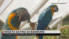 Wisata Satwa Di Bandung