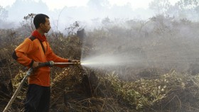 Pemerintah Diminta Evaluasi Pendekatan Ekohidro untuk Gambut