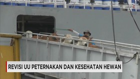 Kementerian Pertanian Akan Revisi UU Peternakan & Kesehatan