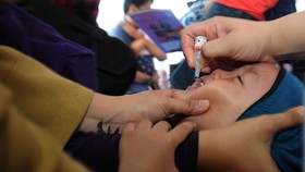 Kasus Ginjal Akut Misterius Balita RI Melonjak, Diduga Terkait Covid