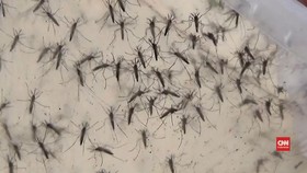 Penularan Zika dari Pasien ke Perawat Timbulkan Kecemasan