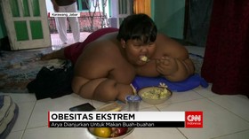 Program Diet Arya Permana