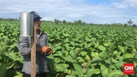 Tarif Cukai Naik, Petani dan Industri Rokok Bisa Merugi