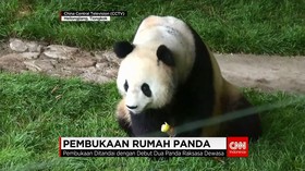 Pembukaan Rumah Panda