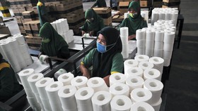Riset Ungkap 20 Perusahaan Surga Pajak Berpusar ke Sinar Mas