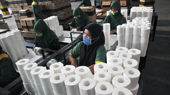 Riset mengungkapkan 20 perusahaan cangkang di pelbagai negara surga pajak diduga memiliki saham pemasok kayu yang dimiliki APP milik Grup Sinar Mas.
