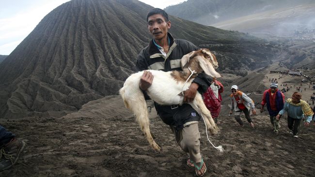 Seorang pria asal Pakistan telah didenda delapan kerbau dan delapan gong oleh wilayah Borneo di Malaysia karena menghina kelompok adat setempat.