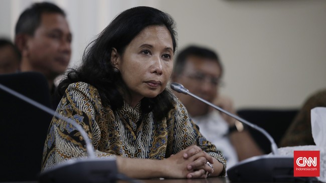 Dihentikannya program Penyertaan Modal Negara di tahun 2017 karena struktur permodalan BUMN dianggap cukup kuat untuk melakukan kegiatan operasional.