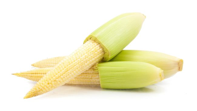 Menurut ahli gizi, jagung muda atau jagung yang dipanen lebih awal tak punya cukup waktu untuk 'mengisi' mineral dan nutrisi sampai 'penuh'.