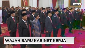Sri Mulyani Pamit Dari Bank Dunia