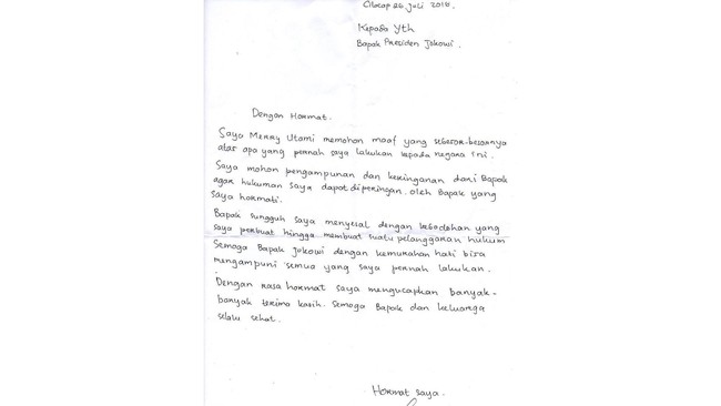 Merry menyebut kebodohannya berujung pada pelanggaran hukum di Indonesia. Ia meminta maaf atas perbuatannya tersebut melalui surat kepada Jokowi.