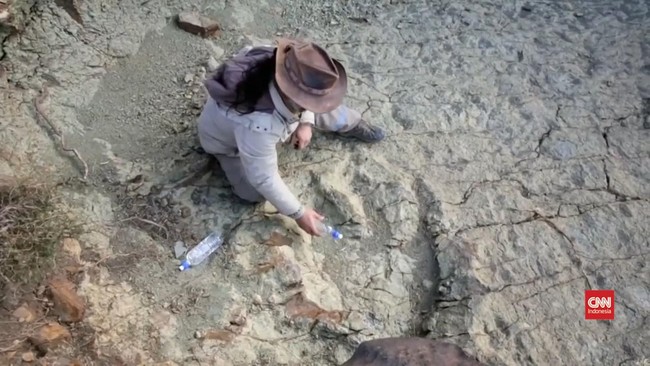 Tim ilmuwan dari Jepang menemukan jejak kaki dinosaurus raksasa di Gurun Gobi, Mongolia.