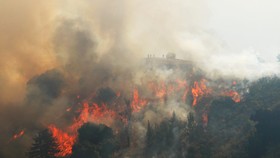 'Soberanes Fire' Kian Meluas di Hutan California