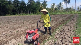 Anak Petani Emoh Jadi Petani