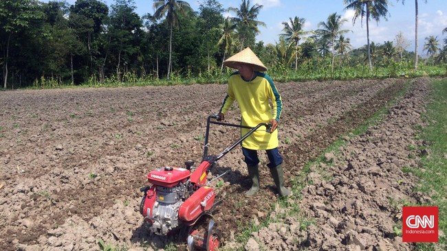 Minat anak muda dinilai semakin rendah terhadap sektor pertanian karena dianggap sebagai pekerjaan yang tak menjanjikan di masa mendatang.