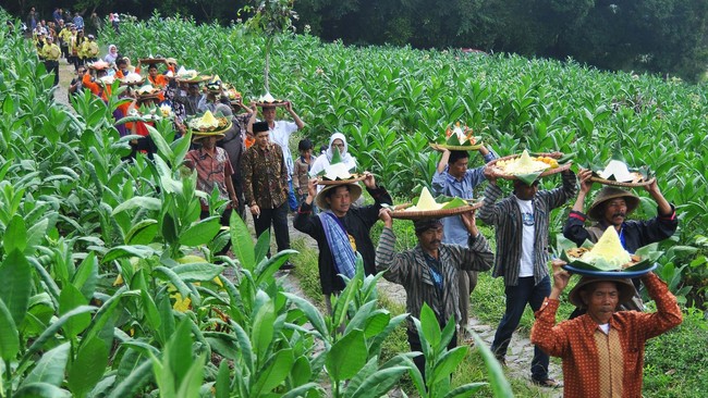 Asosiasi Petani Tembakau Indonesia (APTI) berharap kenaikan cukai rokok 2017 setara dengan laju inflasi atau idealnya hanya sekitar 5 persen.