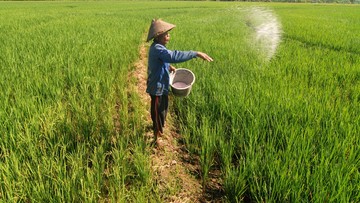 Amran Buka-bukaan Alokasi Pupuk dan Anggaran Kementan Terjun Bebas