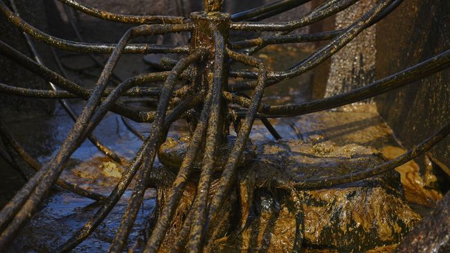 4 Penambang Tradisional di Kalteng Tewas Tertimbun Longsor Sebanyak 4 penambang emas tradisional meninggal dan seorang lainnya luka-luka akibat tertimbun material longsor di Kabupaten Gunung Mas, Kalimantan Tengah.