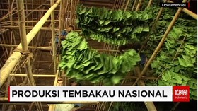 Produksi Tembakau Nasional