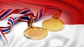 Enam Emas Olimpiade di Lemari Indonesia