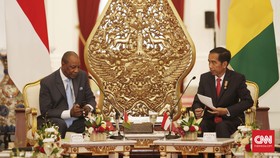RI-Guinea Sepakati Kerja Sama Pertanian dan Pertambangan