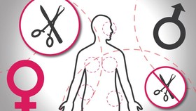 Operasi Plastik dalam Angka