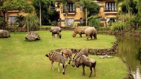 Taman Safari Blacklist 7 Pengunjung yang Turun Mobil di Area Satwa