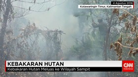 Maraknya Kebakaran Lahan