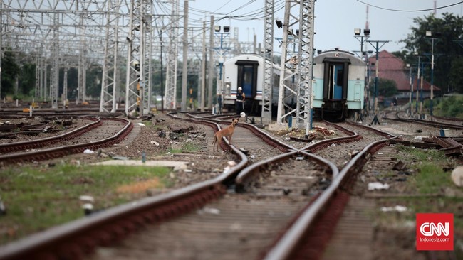 Stasiun Manggarai juga berfungsi sebagai Dipo penyimpanan kereta-kereta besar, beberapa rangkaian kereta api yang disimpan di stasiun ini antara lain adalah KA Jayabaya, KA Gaya Baru Malam Selatan, KA Majapahit, KA Brantas, dan KA Bangunkarta. Meski menyimpan rangkaian kereta api jarak jauh, Stasiun Manggarai tidak melayani penumpang untuk perjalanan menggunakan jenis kereta api tersebut. Jakarta, Kamis 4 Agustus 2016.CNN Indonesia/Andry Novelino
