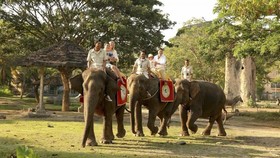 Taman Safari Siap Bangun Tempat Wisata di IKN
