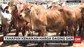 Harga Daging Sapi Sulit Diturunkan