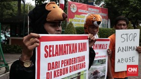 RKUHP Disebut Tak Bisa Bikin Jera Kejahatan terhadap Satwa
