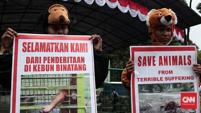 Atraksi satwa seperti gajah tunggang dan foto selfie bersama satwa disebut Scorpion Wildlife Trade Monitoring Group bagian dari eksploitasi.