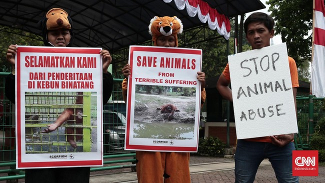 Inilah fakta tentang penangkaran dan pandangan yang keliru dari masyarakat mengenai penangkaran dan kebun binatang.