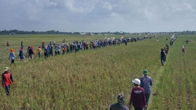Benteng Terakhir Sukamulya Melawan Gempuran Penggusuran