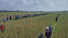 Benteng Terakhir Sukamulya Melawan Gempuran Penggusuran