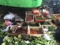 Segini Omzet Pedagang Sayur yang Viral Disepelekan Camer