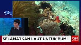 Selamatkan Laut Untuk Bumi
