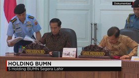 5 Holding BUMN Segera Lahir